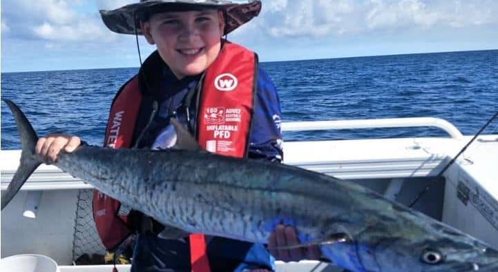 Spanish mackerel