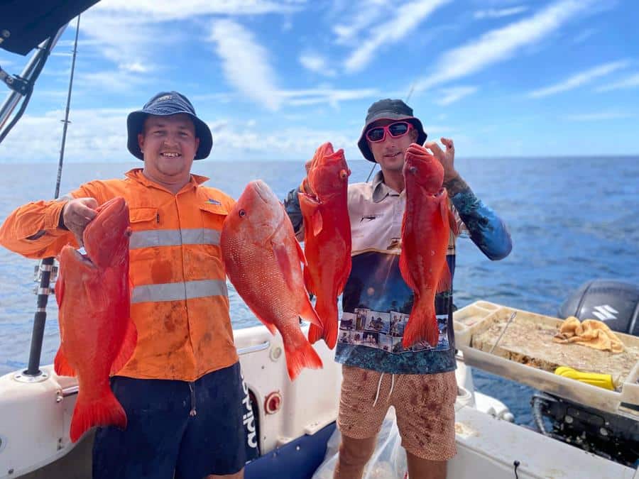 cracker catches Tackle World Bundaberg