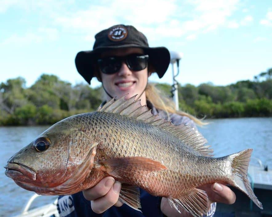 Plenty of salmon caught locally – Bundaberg Now