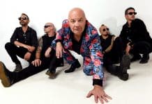 Chocolate Starfish Bundaberg Moncrieff bat out of hell tour