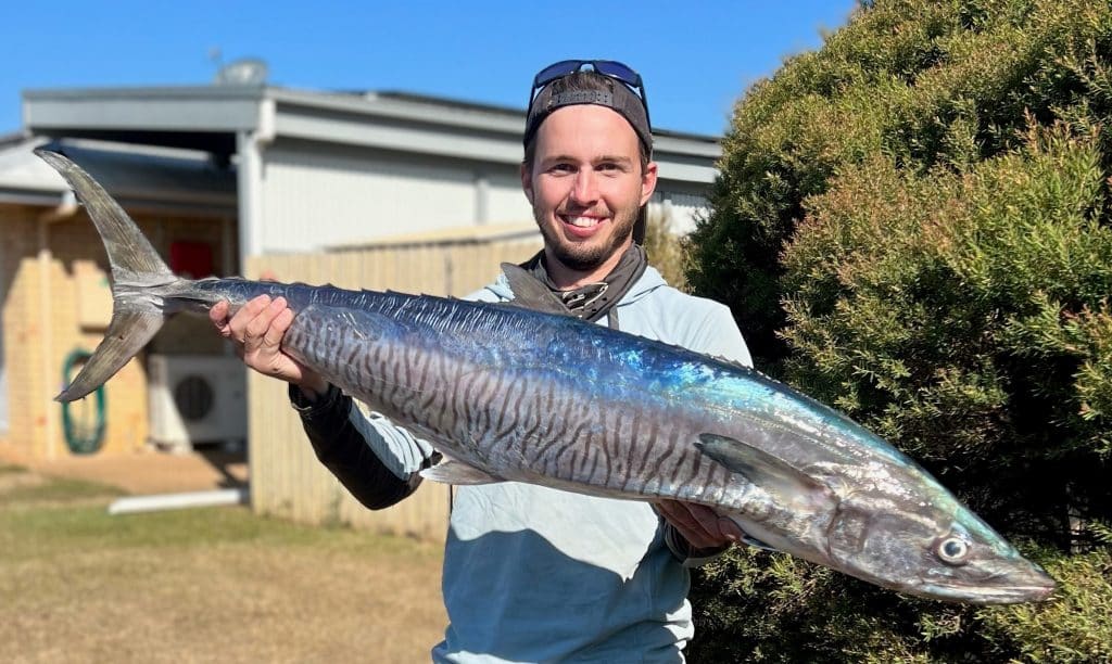 Plenty of mackerel at local reefs – Bundaberg Now