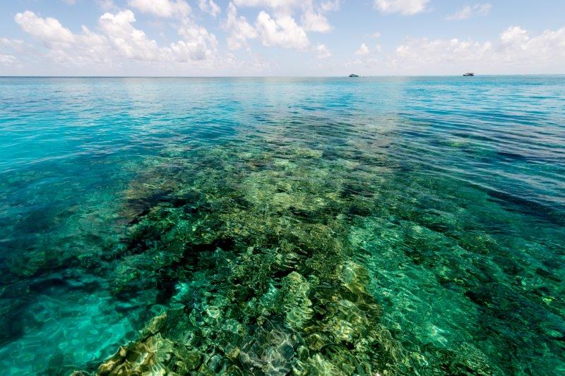 how to help protect the reef
Great Barrier Reef clean-up