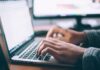 Small business friendly survey