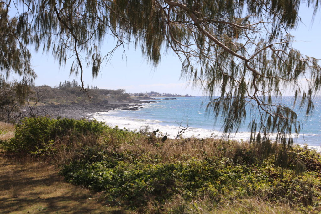 summer temperatures beaches