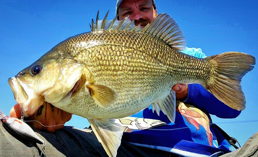 fishing report