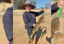 Fish report: action on inshore reefs
