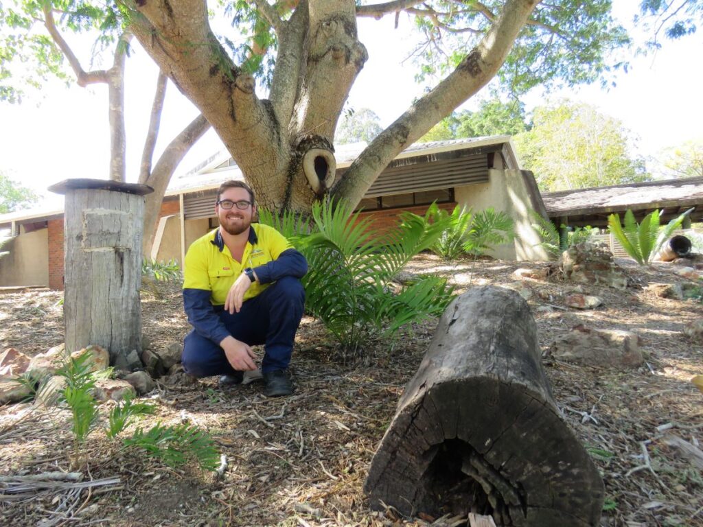 Bundaberg Botanic Gardens cycads Caleb Bird