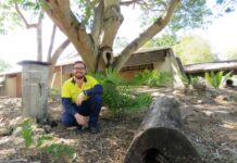 Bundaberg Botanic Gardens cycads Caleb Bird