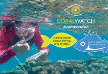CoralWatch Youth Ambassador