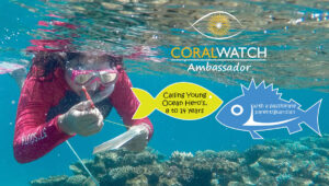 CoralWatch Youth Ambassador