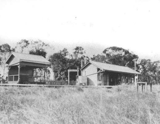 Avondale railway station establishment of Avondale