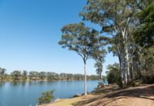 Burnett Downs River Walk