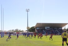 bulldogs dolphins bulldogs draw 2024
