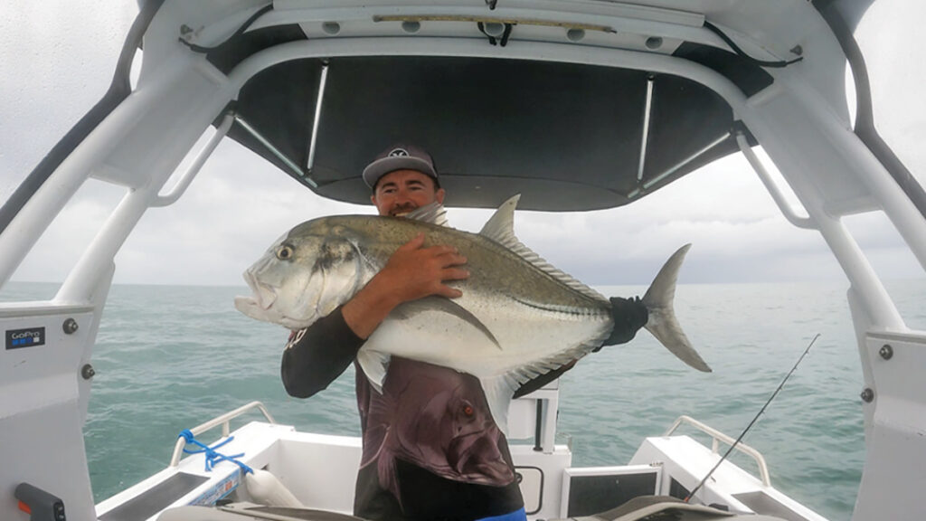 Lots of bait fish along our coast