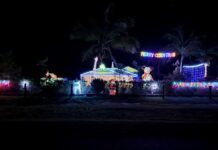 Christmas light displays