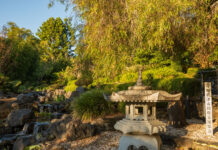 Explore our region: Japanese Garden at Bundaberg Botanic Gardens