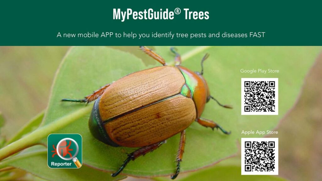 mobile app tree pests