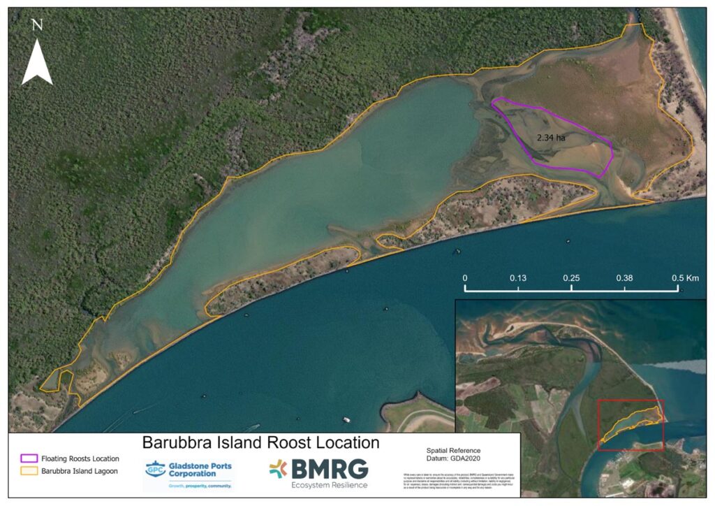 Barubbra Island roost location