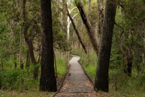 Banksia Walking Track. Woodgate