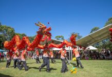 Lunar New Year