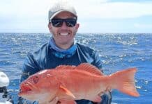 Andrew Chappell with a beautiful barcheek coral trout.