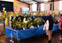 Bundaberg Orchid Society's 50'th annual show