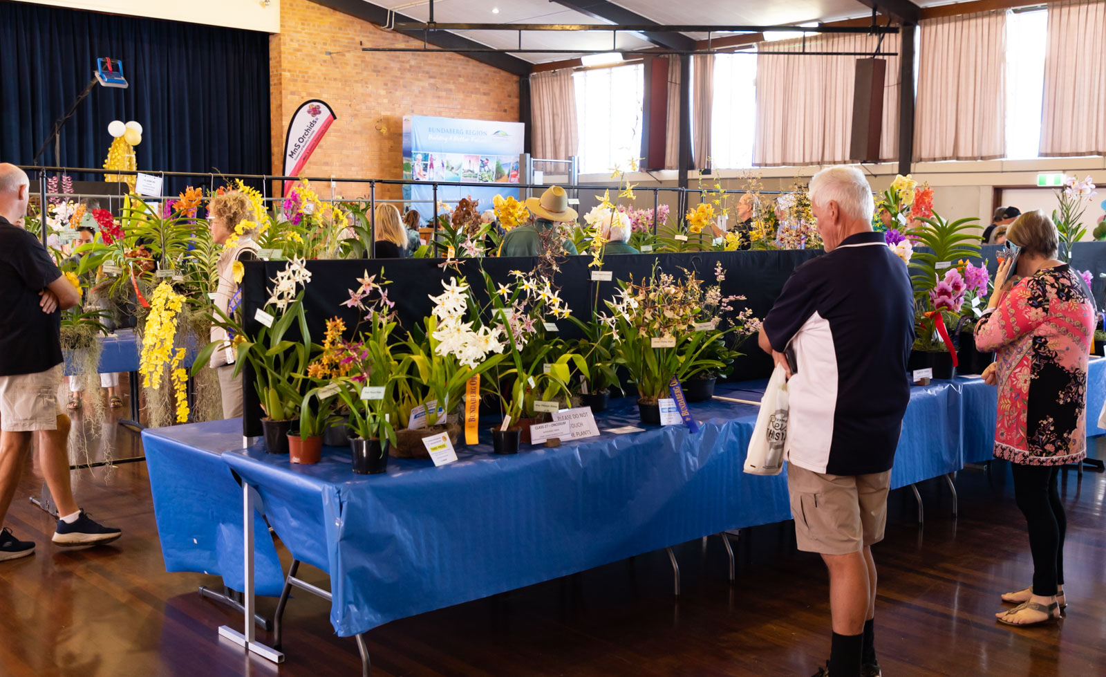 Bundaberg Orchid Society's 50'th annual show
