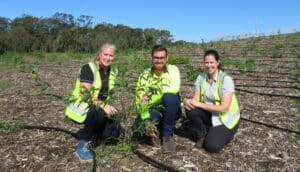 Bundaberg Regional Council staff Monika Osborne, Caleb Bird and Carmen Bracken inspect the young plants at the Qunaba Waste Facility's stage two of the phytocap trials.