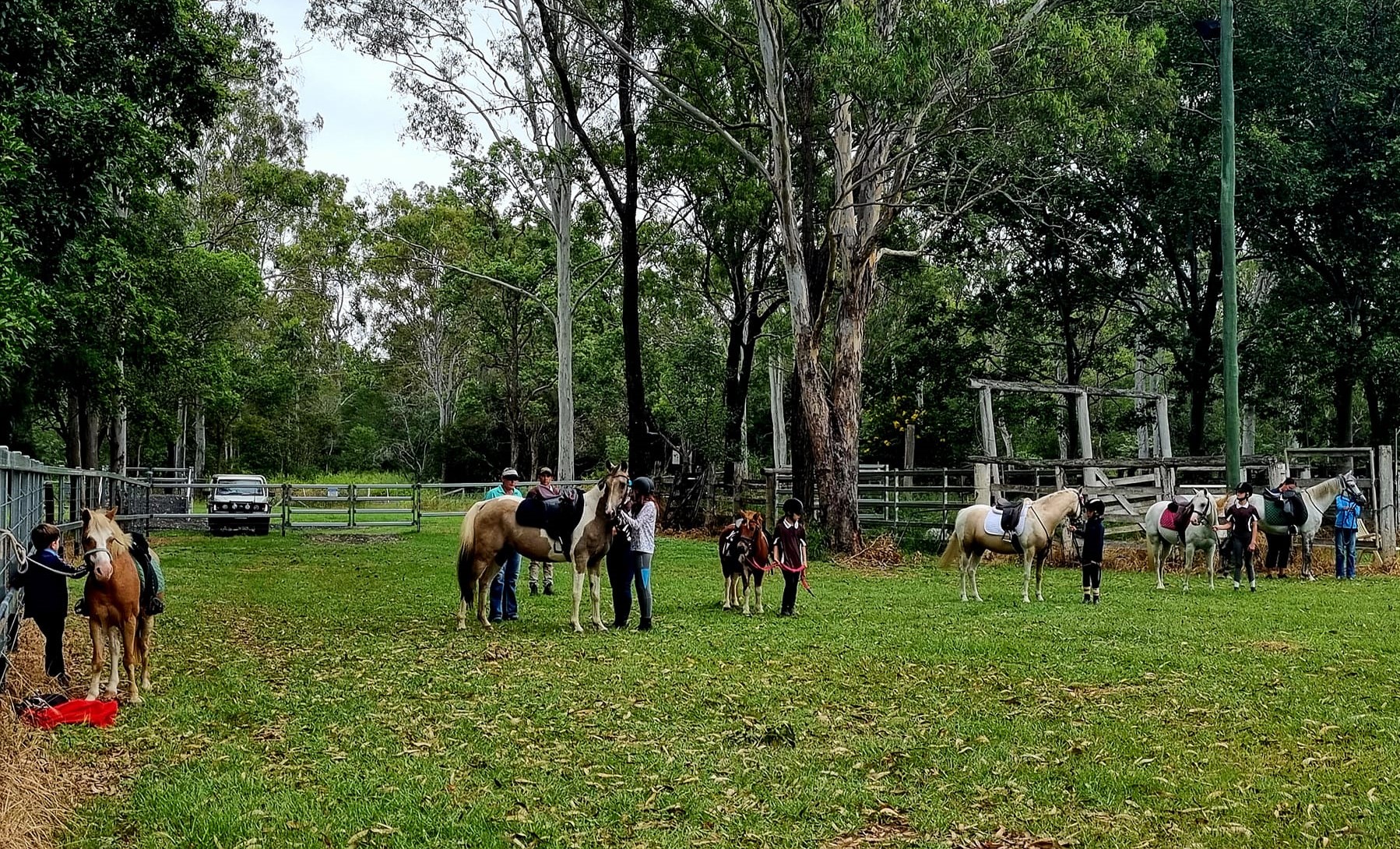 Isis District Horse and Pony Club