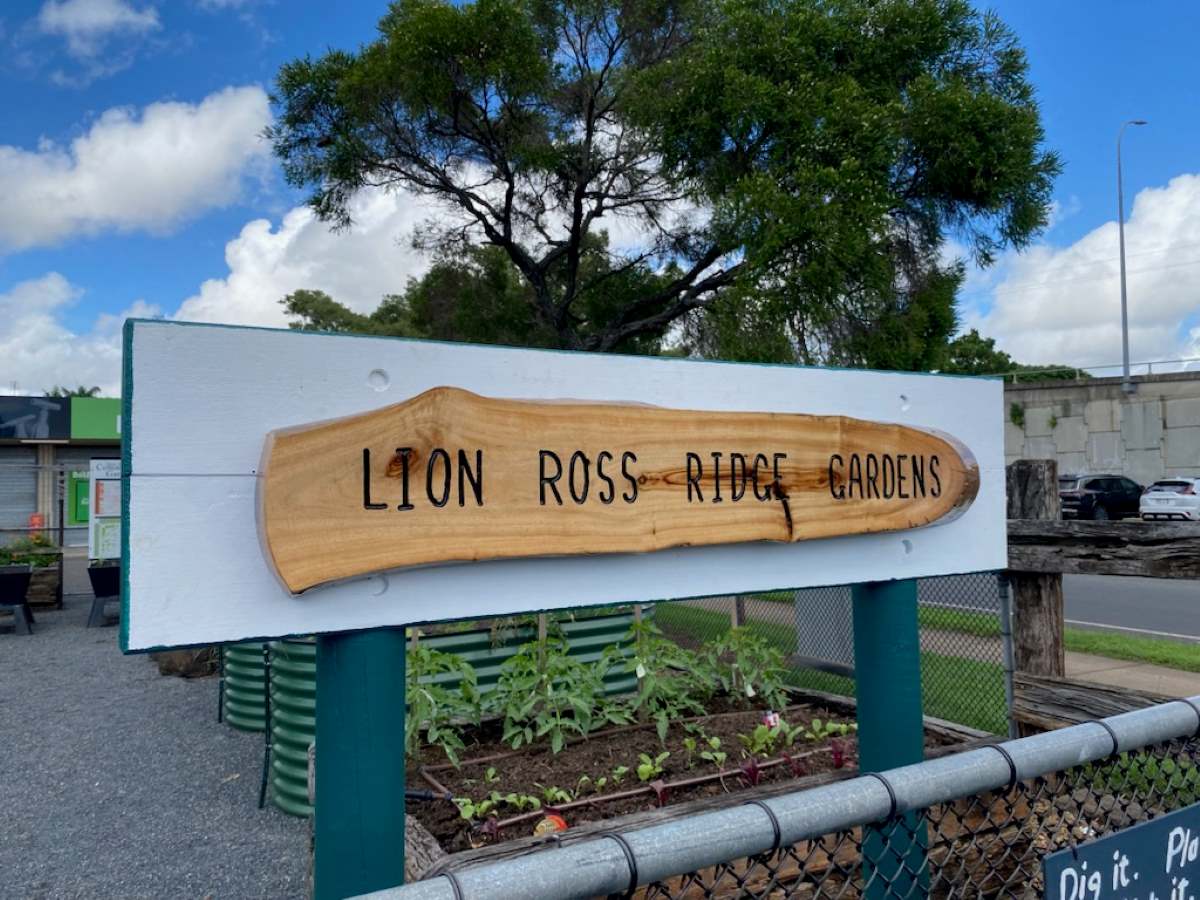 Lion Ross Ridge Community Gardens