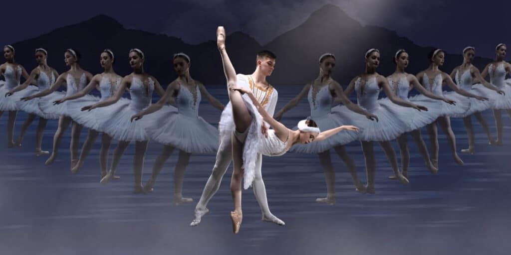 Enchanting Swan Lake at Moncrieff