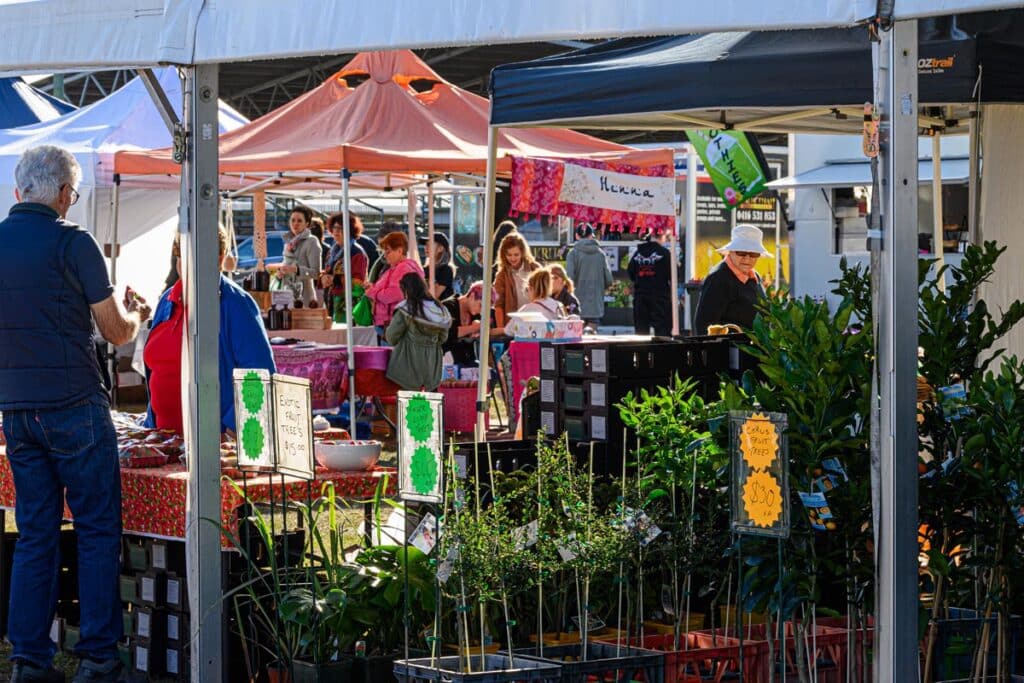 Taste Bundaberg Market