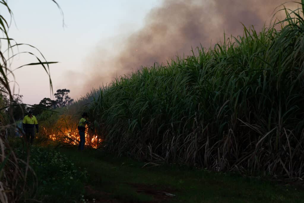 Sugar Mill and Cane Fire Tours