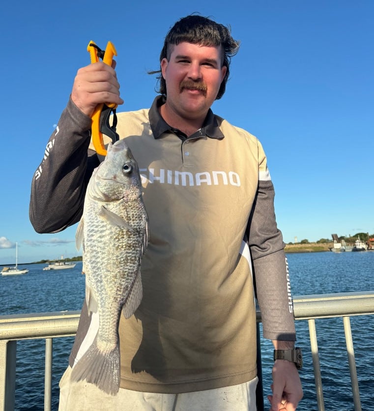 weather fish