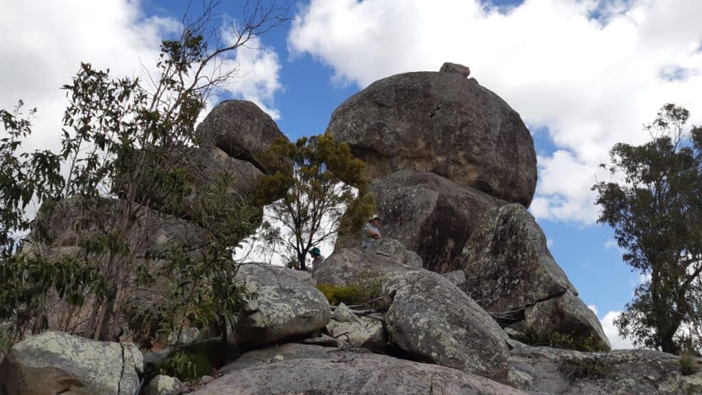Bundaberg Bushwalking Club 40th anniversary