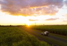 Bundaberg Tourism has launched a new consumer marketing campaign that will influence travellers to rediscover Bundaberg.