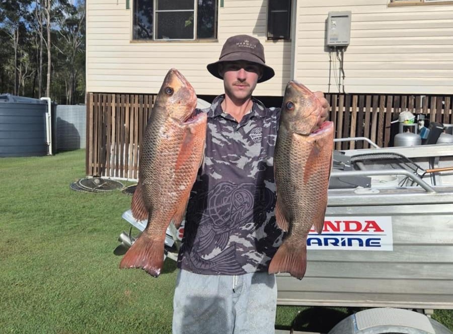 Fishing report: find out what's been happening in local waterways and reefs with the team at Tackle World Bundaberg 🎣