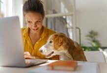 dog registration details