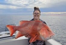 Great weather has seen plenty of keen anglers take the opportunity to head out, with shallower reefs fishing extremely well.