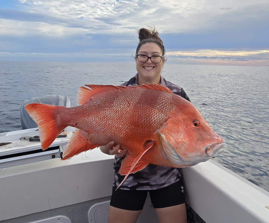 Great weather has seen plenty of keen anglers take the opportunity to head out, with shallower reefs fishing extremely well.