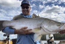 Fishing report: the Easter break proved to be a great time for local fishing according to the team at Tackle World Bundaberg 🎣