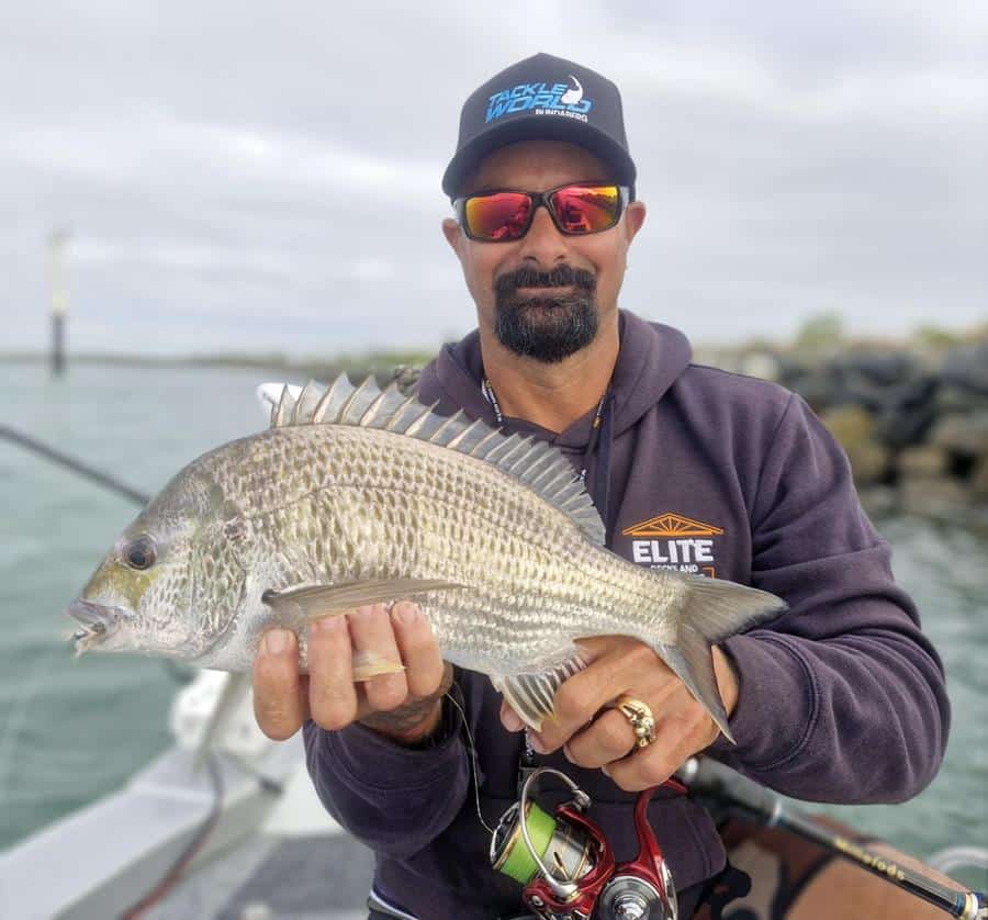 Mammoth bream caught at the annual Big Bream Shootout, find out about this and so much more in this week's fishing report.