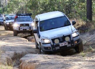 The latest outing for members of the Bundaberg 4WD Club tested their off-roading skills in the Wongi State Forest and Forest Reserve.