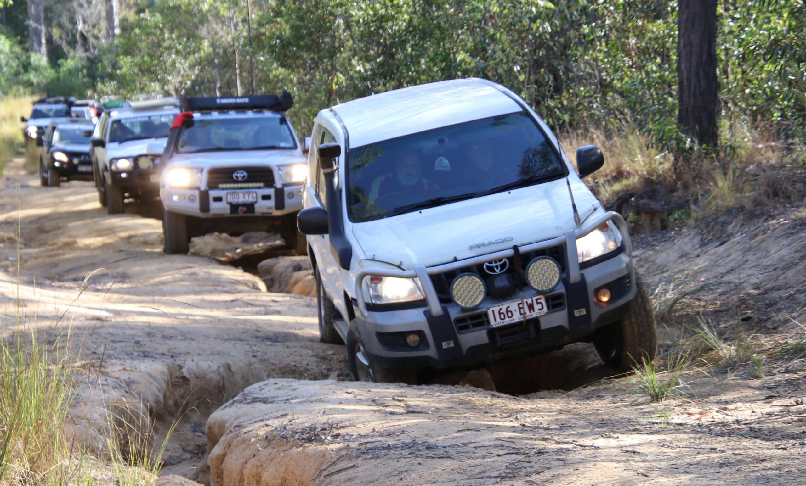 The latest outing for members of the Bundaberg 4WD Club tested their off-roading skills in the Wongi State Forest and Forest Reserve.