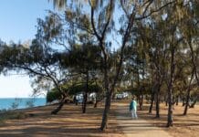 Elliott Heads local area plan