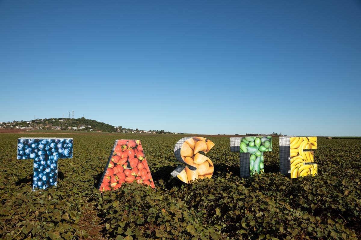 Taste Bundaberg Festival