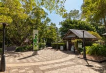 Three popular Bundaberg Regional Council tourism attractions have received a perfect score in a state-wide tourism program.