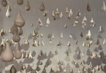 Charmaine Lyons exhibition