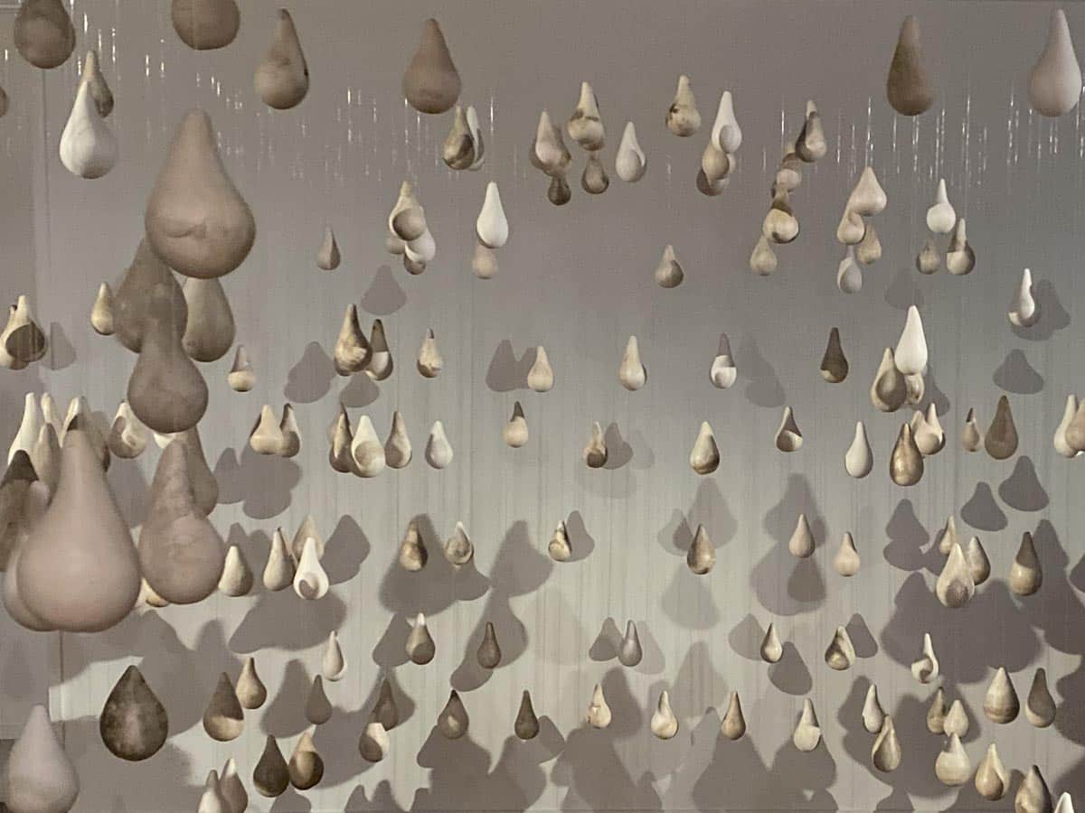Charmaine Lyons exhibition