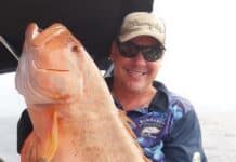 This week's fishing report provides some hot tips for locals, just in time for the VMR Bundaberg Family Fishing Classic this weekend.